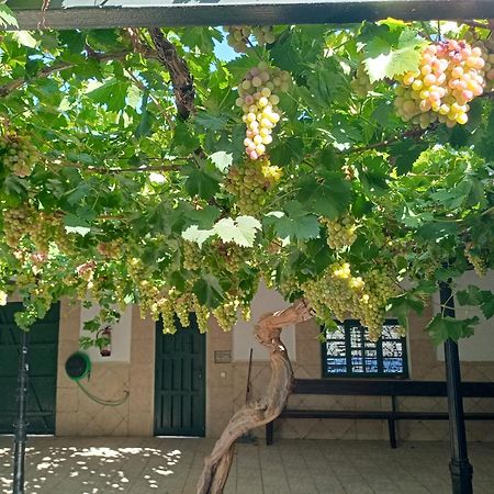 Casa Rural La Del Alba Seria Argamasilla De Alba Luaran gambar