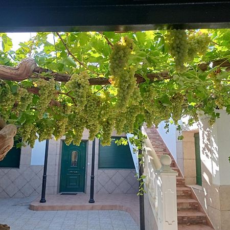 Casa Rural La Del Alba Seria Argamasilla De Alba Luaran gambar