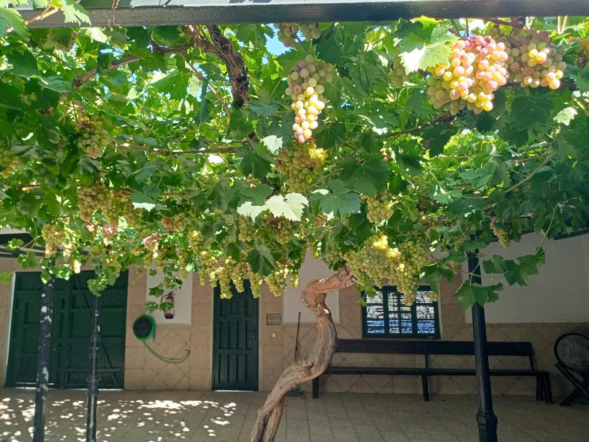 Casa Rural La Del Alba Seria Argamasilla De Alba Luaran gambar