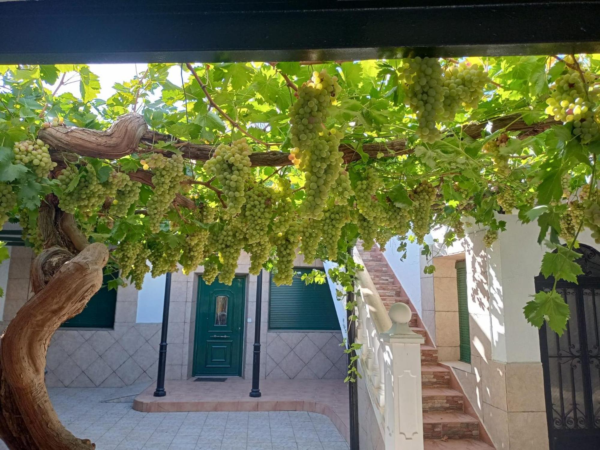 Casa Rural La Del Alba Seria Argamasilla De Alba Luaran gambar